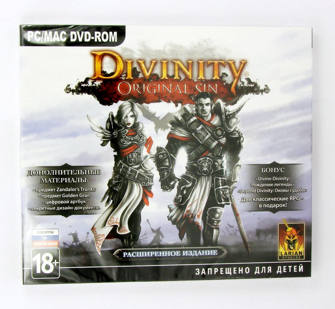 Divinity: Original Sin (PC)